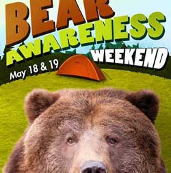 Celebrate Bear Awareness this weekend at NW Trek.