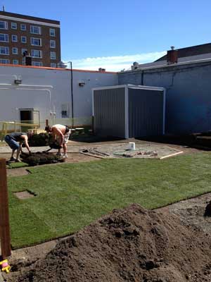 The lawn behind Shake Shake Shake looks like it's going to be great.