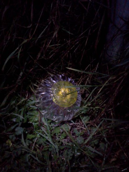 A glass Monkeyshines ball glowing yellow in dark grass